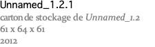 Unnamed_1.2.1 carton de stockage de Unnamed_1.2 61 x 64 x 61 2012